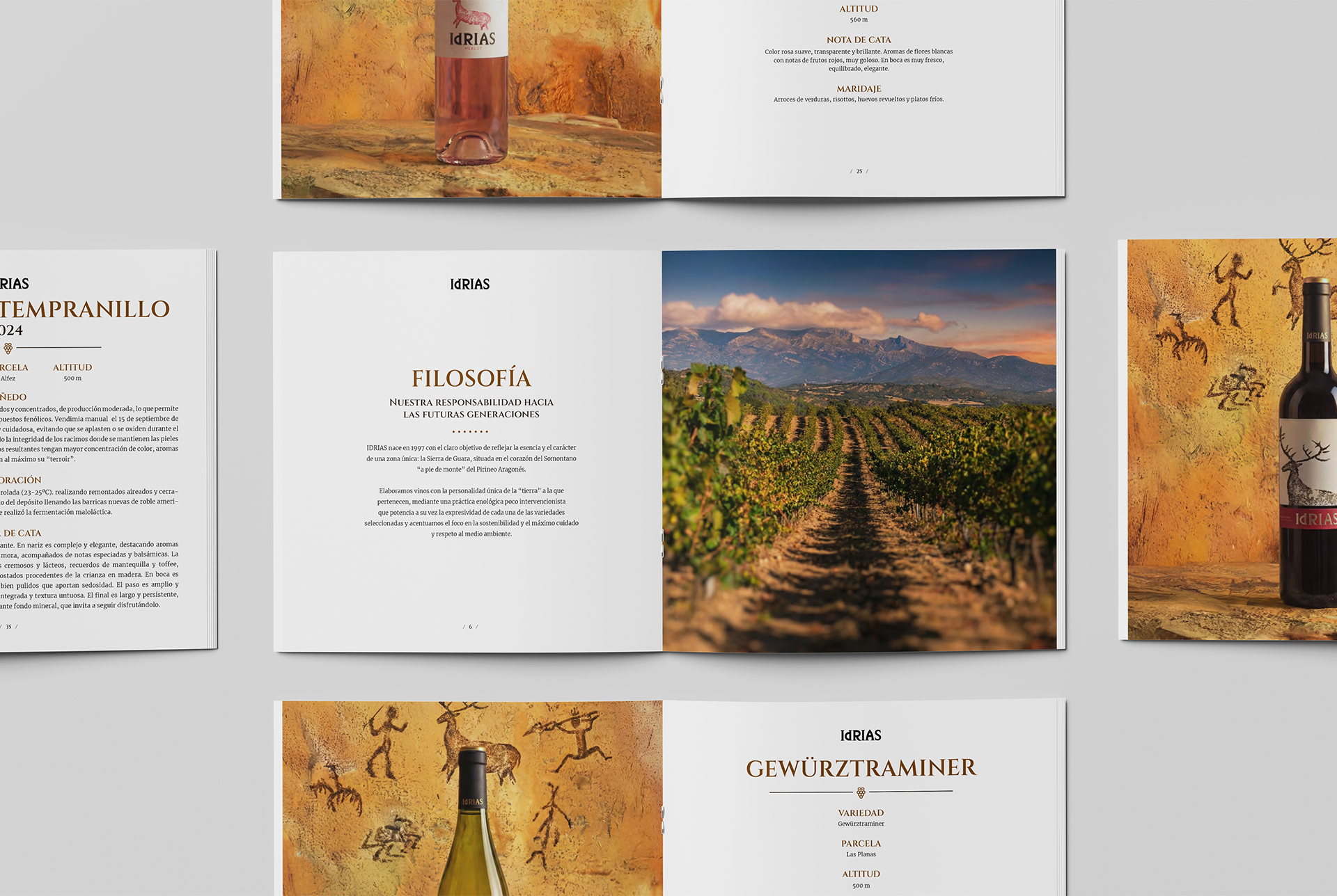 Catálogo de producto para Decathlon Club