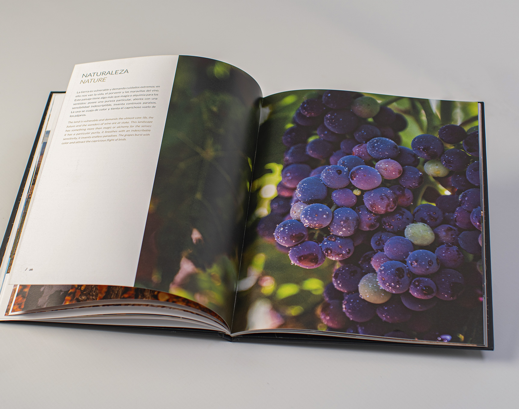 Libro catálogo de vinos