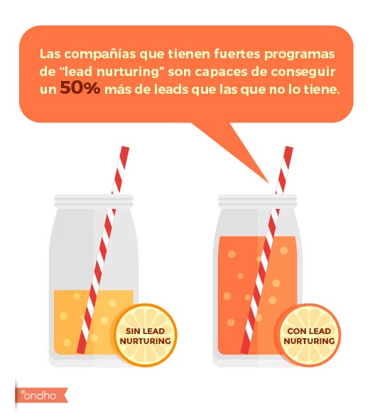 Empreses amb forts programa de Lead nurturing