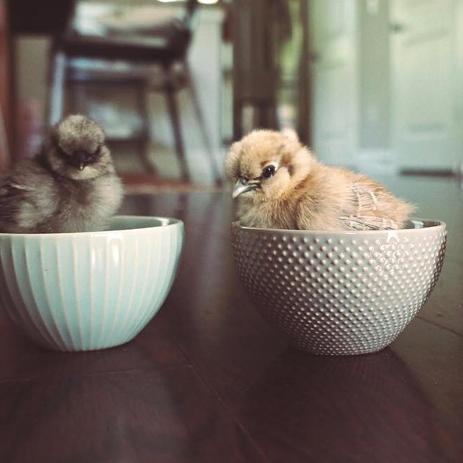 Publicación de Instagram