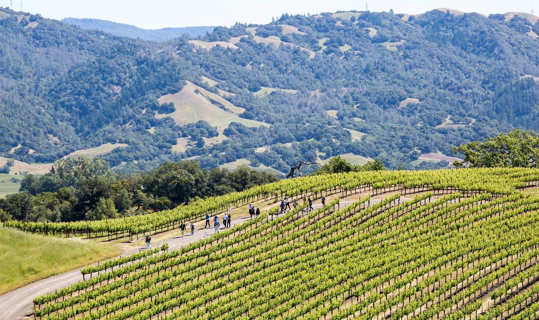 Publicación de Instagram