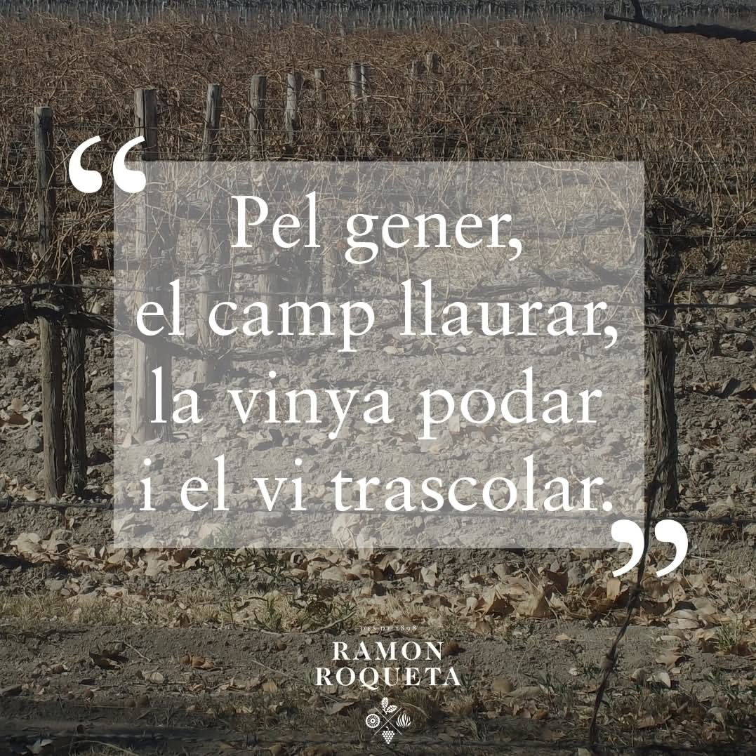 Publicación de Instagram