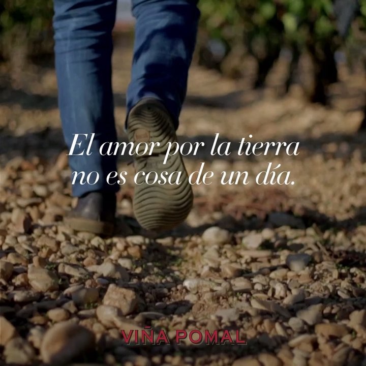 Publicación de Instagram