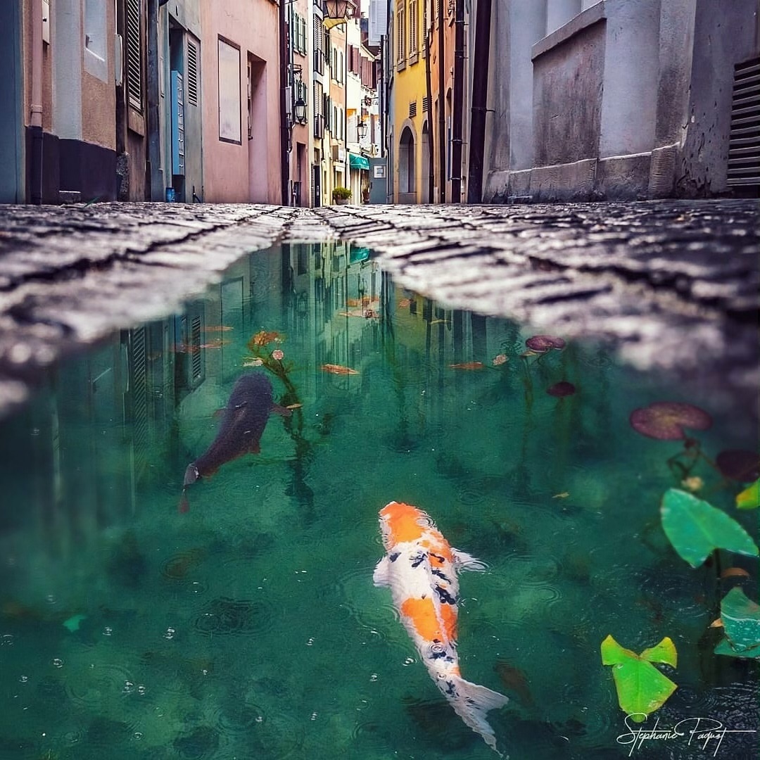 Publicación de Instagram